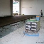 IMG_5512 IMG_5512
