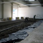 IMG_5533 IMG_5533